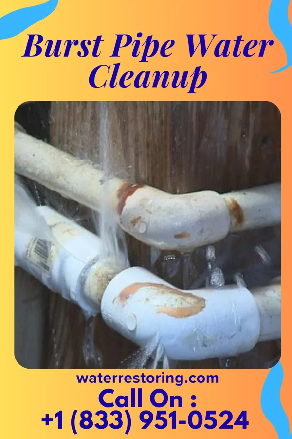 Burst Pipe Water Cleanup in Spring City, UT