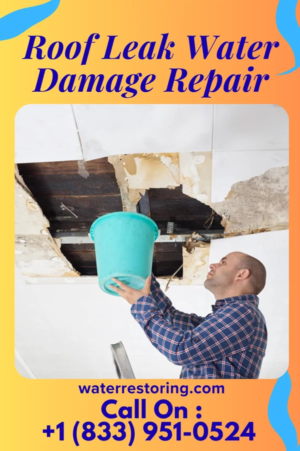 Roof Leak Water Damage Repair in Spring City, UT