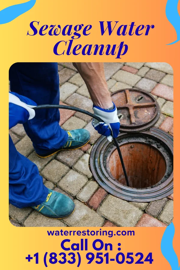 Sewage Water Cleanup in Spring City, UT